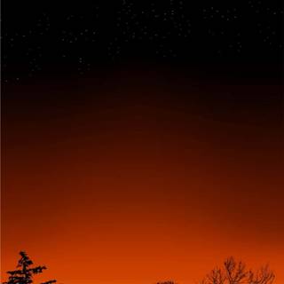 Africa phone wallpaper