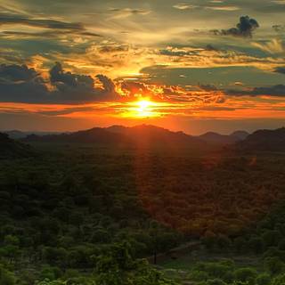 Africa phone wallpaper