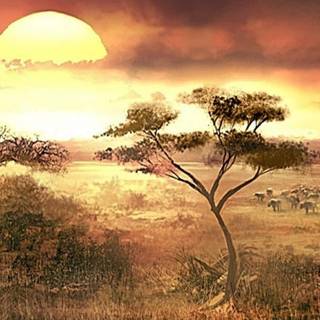 Africa phone wallpaper