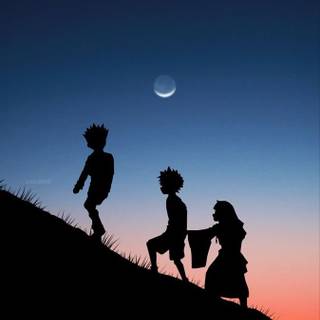 Hunter x Hunter iPhone 11 wallpaper