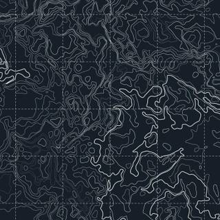 White topographic wallpaper