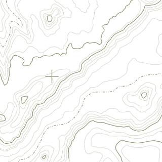 White topographic wallpaper