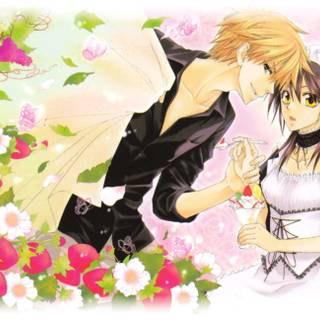 Maid Sama PC wallpaper