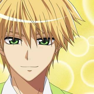 Maid Sama PC wallpaper