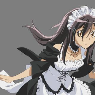 Maid Sama PC wallpaper
