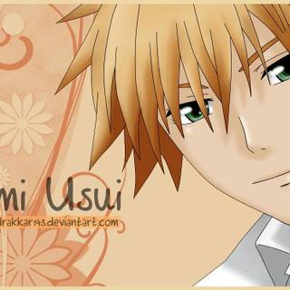 Maid Sama PC wallpaper
