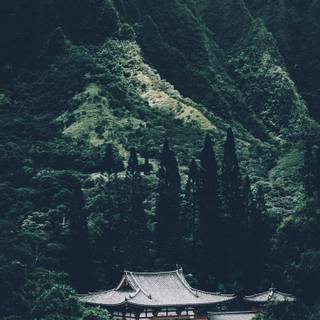 Japanese scenery iPhone wallpaper