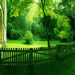 Green nature desktop wallpaper