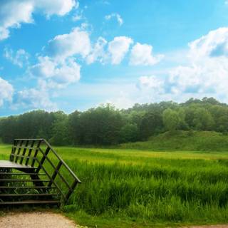 Green nature desktop wallpaper