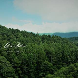 Green nature desktop wallpaper