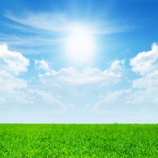 Green nature desktop wallpaper