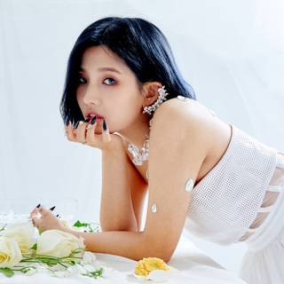 Gidle desktop HD wallpaper