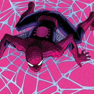 Pink Spider-Man computer wallpaper