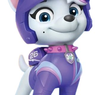 Roxi Paw Patrol wallpaper