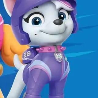 Roxi Paw Patrol wallpaper