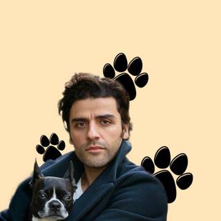 Oscar Isaac wallpaper