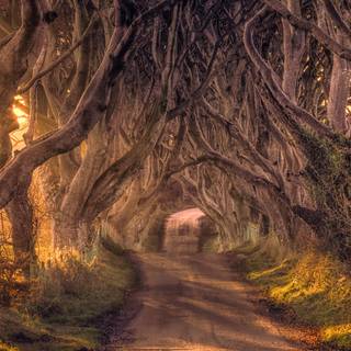 Ireland 4k wallpaper