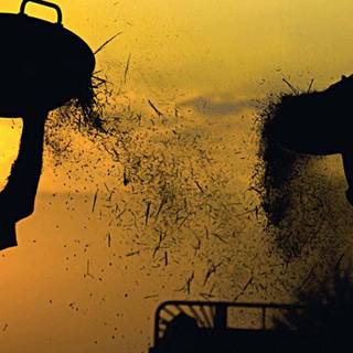 Blue collar wallpaper