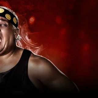 Dusty Rhodes wallpaper