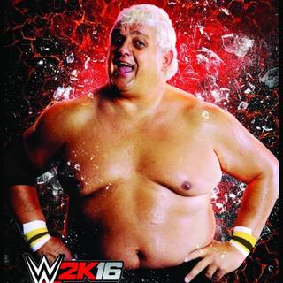 Dusty Rhodes wallpaper
