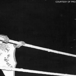 Dusty Rhodes wallpaper