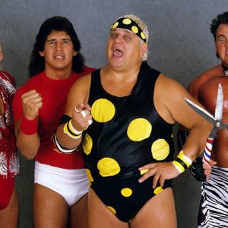 Dusty Rhodes wallpaper