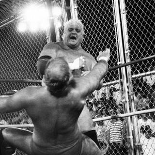 Dusty Rhodes wallpaper