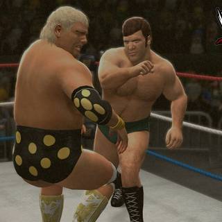 Dusty Rhodes wallpaper