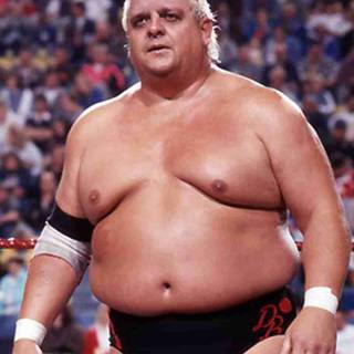 Dusty Rhodes wallpaper