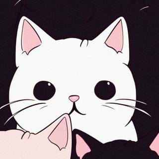 Horror cat wallpaper