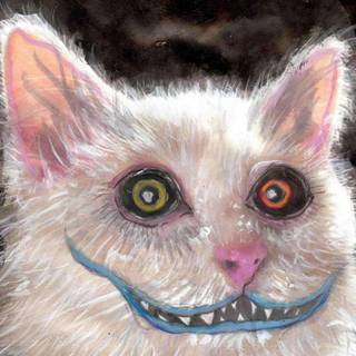 Horror cat wallpaper