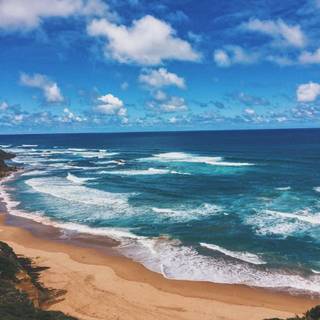 Australian beach wallpaper