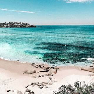 Australian beach wallpaper