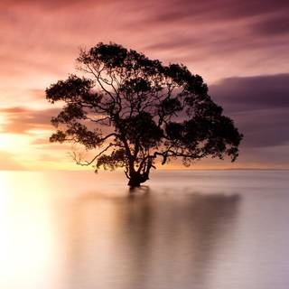 Australian beach wallpaper