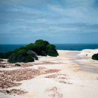 Australian beach wallpaper