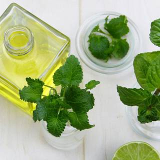 Medicinal plants wallpaper