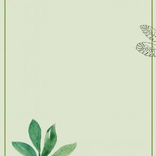 Medicinal plants wallpaper