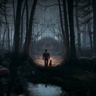 Ultrawide dark wallpaper