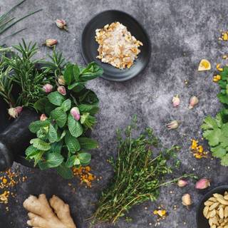 Medicinal plants wallpaper