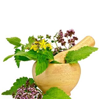 Medicinal plants wallpaper