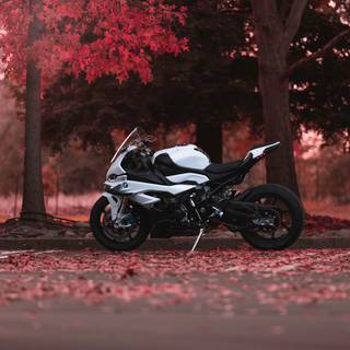 iPhone motorcycle wallpaper
