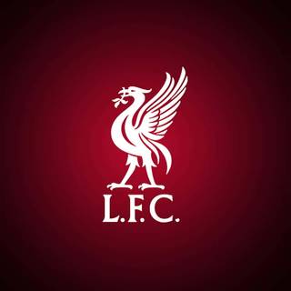 Liverpool phone 4K wallpaper