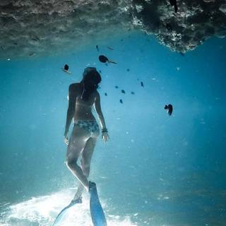 iPhone underwater photography wallpaper