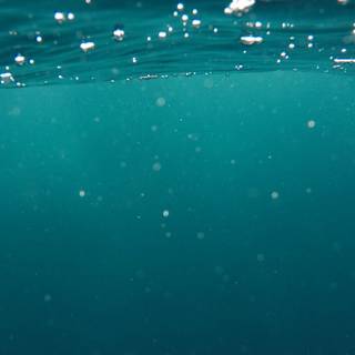 iPhone underwater photography wallpaper