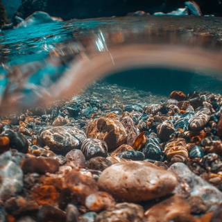 iPhone underwater photography wallpaper