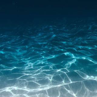 iPhone underwater photography wallpaper