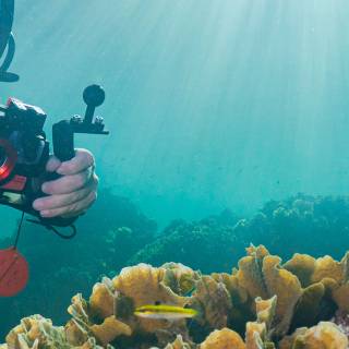 iPhone underwater photography wallpaper