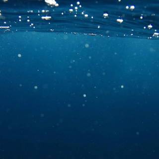 iPhone underwater photography wallpaper
