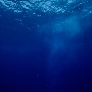 iPhone underwater photography wallpaper