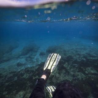 iPhone underwater photography wallpaper